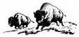 Big Buffalo Cigars