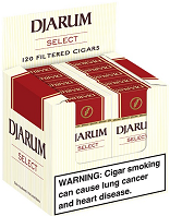 Djarum Select 